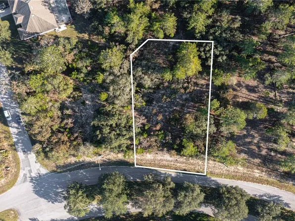 38 Oak Village Boulevard, Homosassa, FL 34446