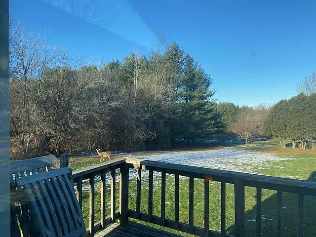 Back deck view and 1 acre of forest and 1 acre of lawn and mature trees belongs to the property,