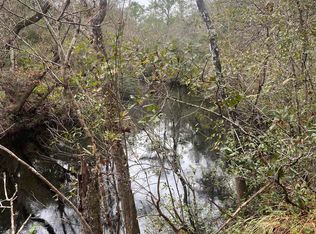 Lizard Ln, Sopchoppy, FL 32358