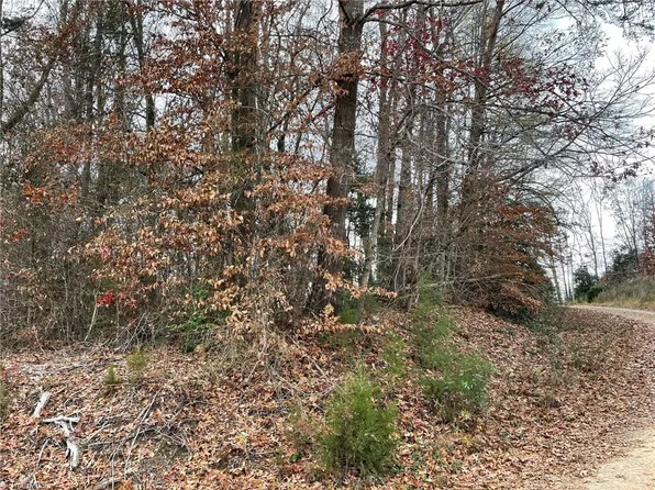 18 & 19 Pulco Ln, Ronda, NC 28670