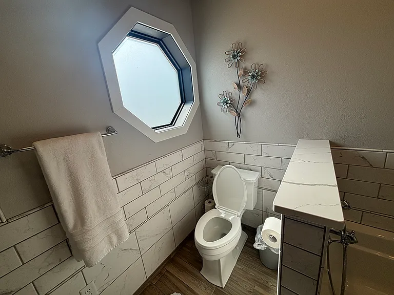 potty area in main bath