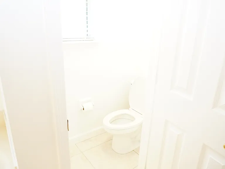 Master bath toilet room