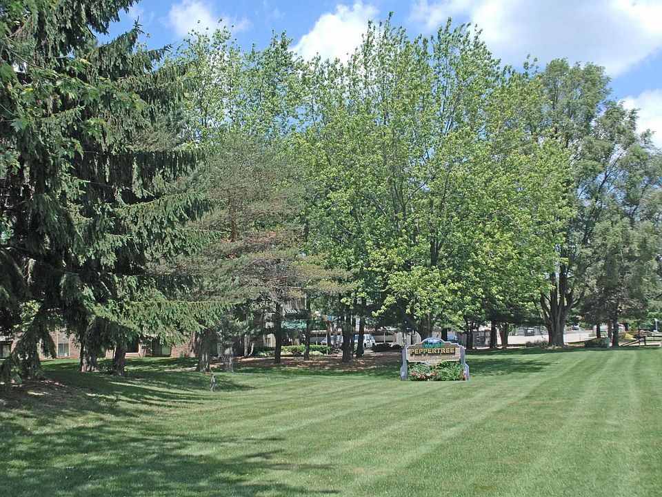Beautiful Grounds