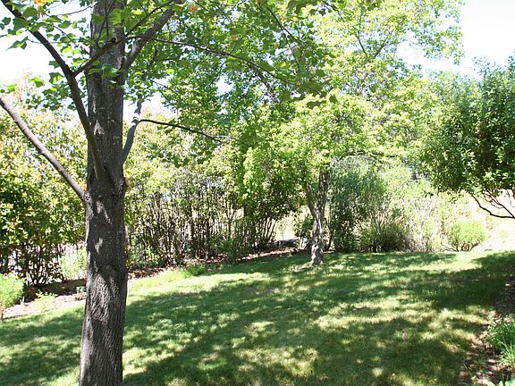 4th image of 6082 Puerto Dr