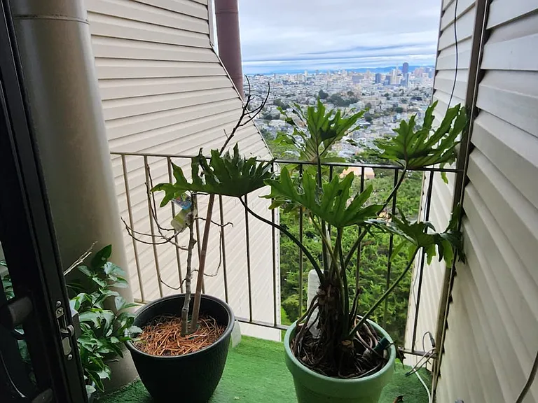 5155 Diamond Heights Blvd — Photo 17