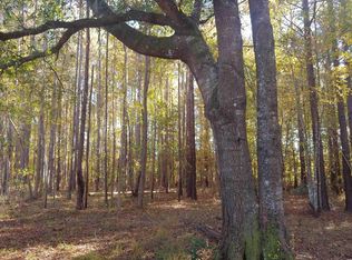 Miracle Mile Rd, Hemingway, SC 29554