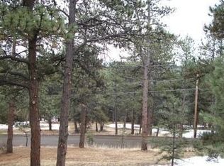 27633 Pine Valley Dr, Evergreen, CO 80439