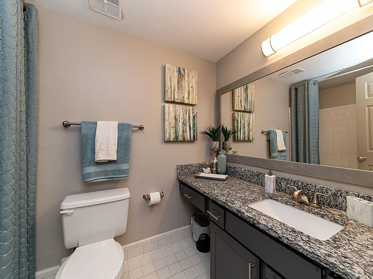 Bright bathroom with granite counters and modern cabinetry