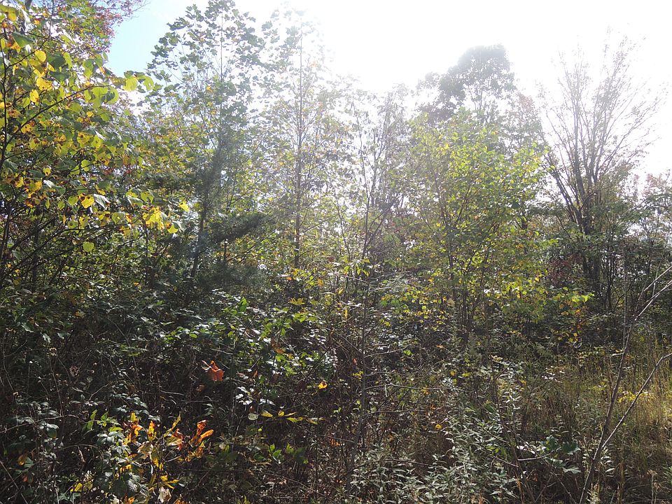 2nd image of 199 Patten Branch Rd