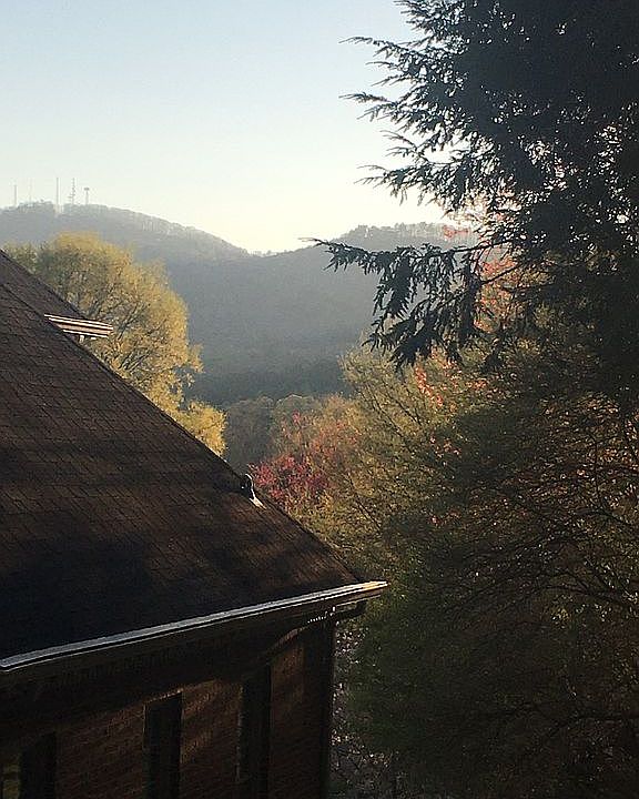 View fro terrace,NE corner 