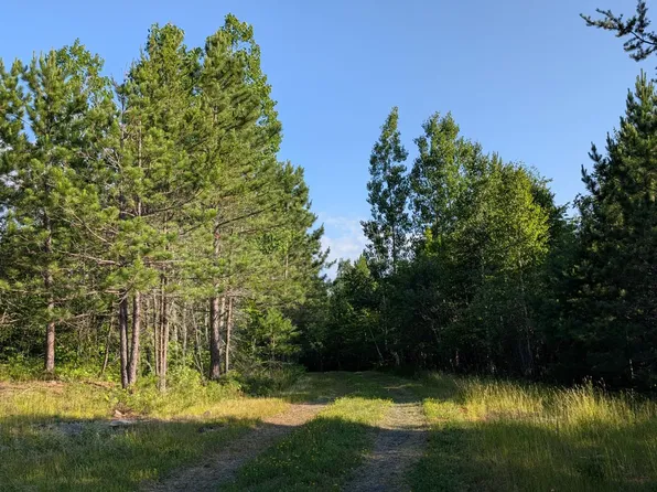 LOT Highway 24 #A, Orr, MN 55771