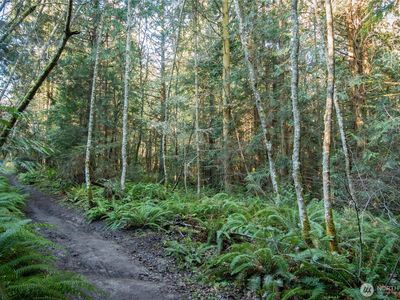 9999 Umatilla Avenue, Pt Townsend, WA, 98368