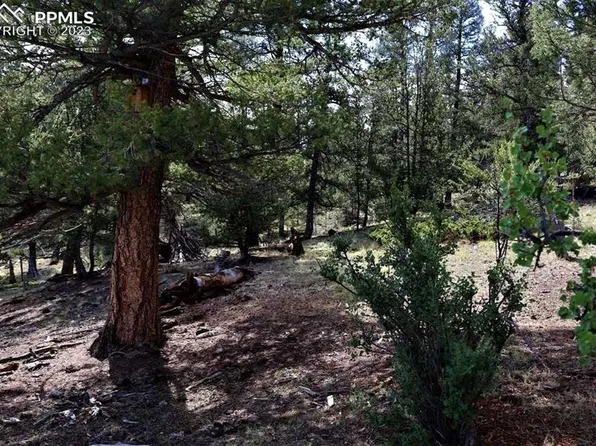 2780 Leonardo Ln, Hartsel, CO 80449