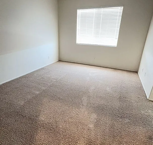11584 Fern Pine St — Photo 10