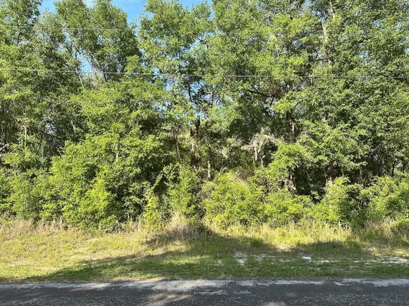 10713 N Adler Dr #13, Dunnellon, FL 34434