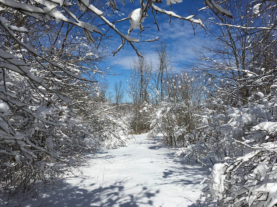 0 Trout Lake Rd B, Hermon, NY 13652 MLS 11161692 Zillow