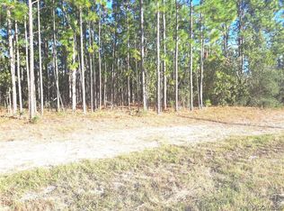 9657 N Wayland Ave, Citrus Springs, FL 34434