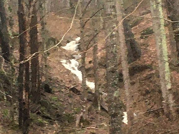 5th image of 15 Landing Dr
