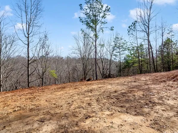 30 William Way, Ellijay, GA 30540