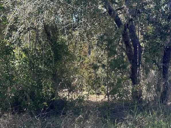 7 Sweetbay Ct #19, Homosassa, FL 34446