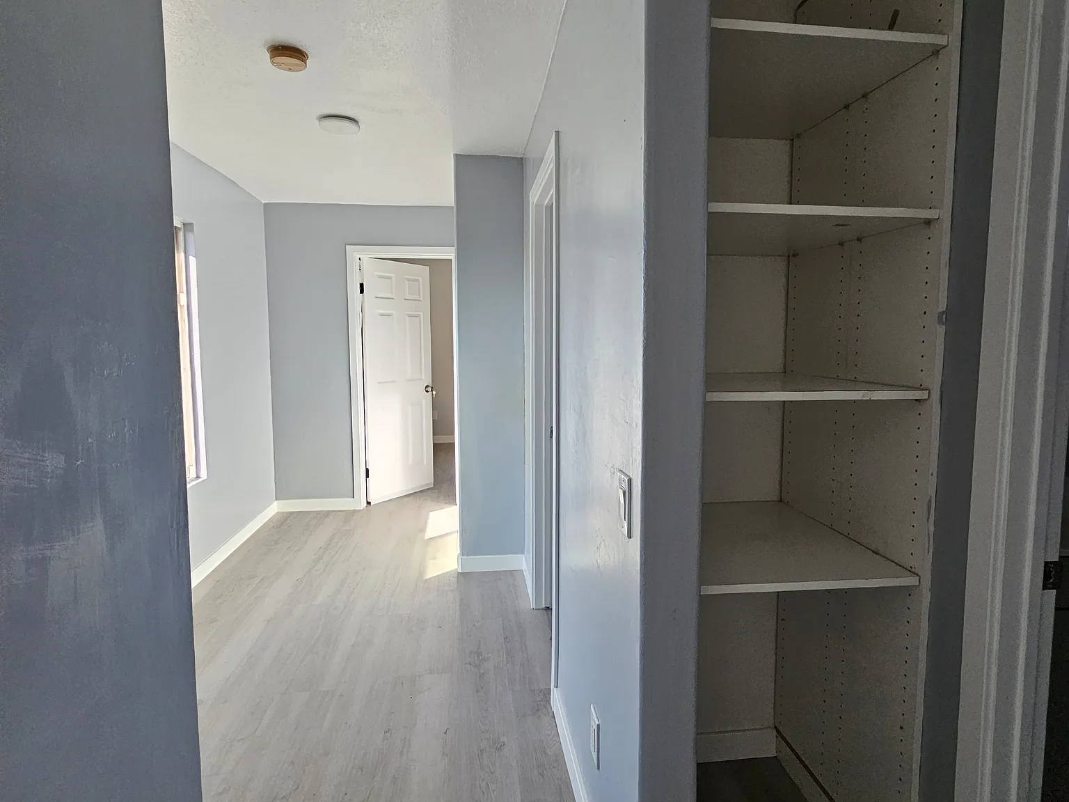 7201 Arillo St — Photo 4