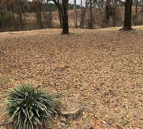 3rd image of 250 Scooter Hill Rd