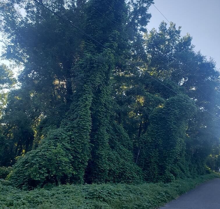 2nd image of Tbd Bunker Street