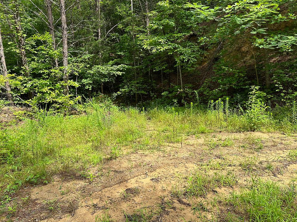 0 Bogard Rd, Cosby, TN 37722 Zillow