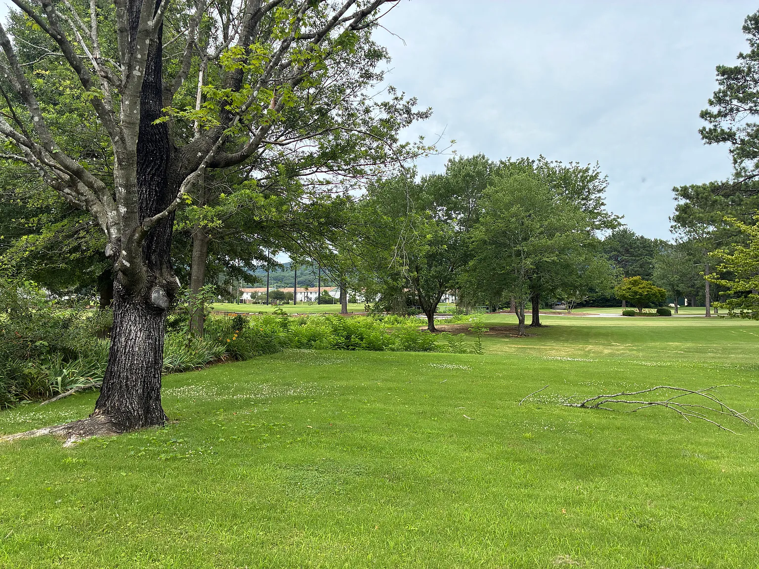 3 bed, 2.5 bath, 2203 sqft, $2,350 — Photo 3