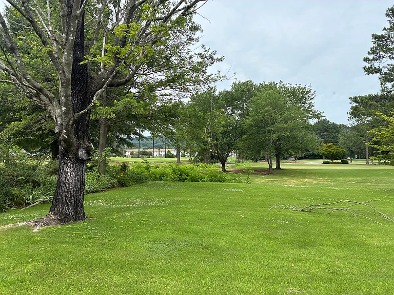 Backyard, looking towards golf course and country club.