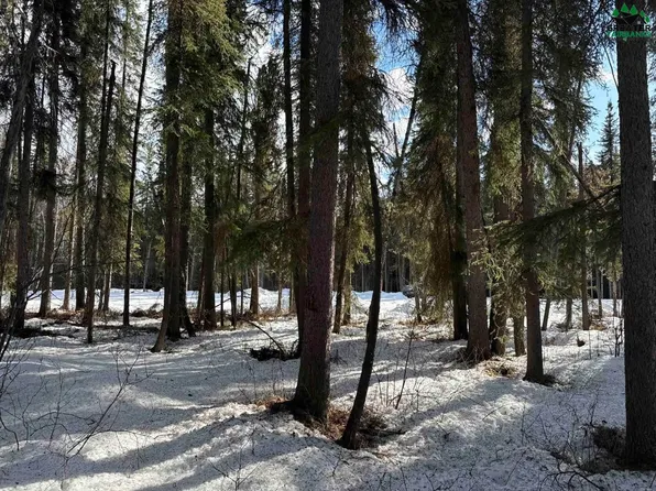 LOT 13 Block A River Park Dr, Fairbanks, AK 99712