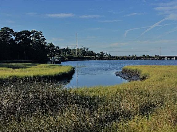 Marsh view from yard