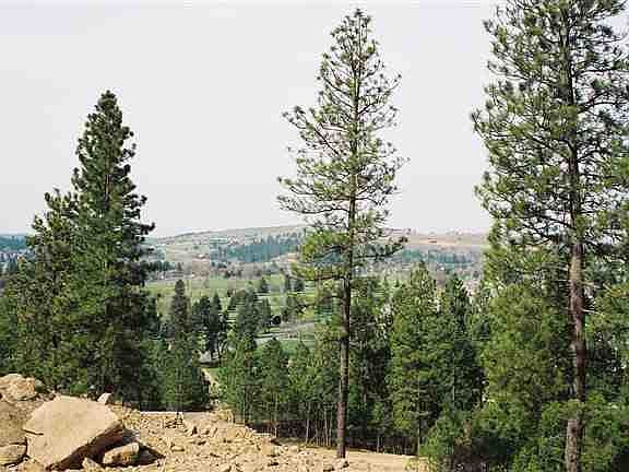 2nd image of 875 N Bella Lago Ln Lot 15