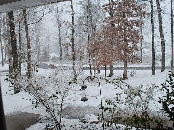 Front yard in winter