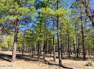 1947 Pine Canyon Dr, Happy Jack, AZ 86024