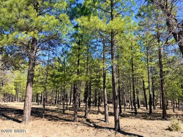 1947 Pine Canyon Dr, Happy Jack, AZ 86024