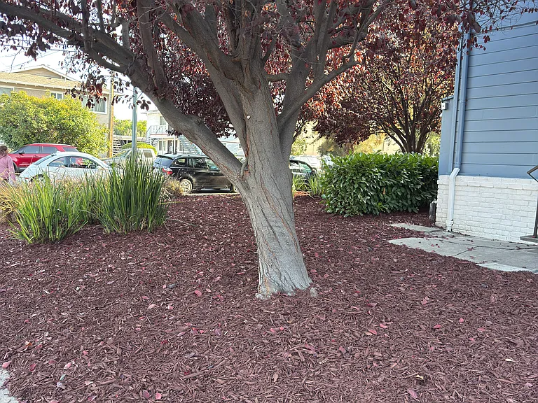 675 Johanna Ave #3 — Photo 24