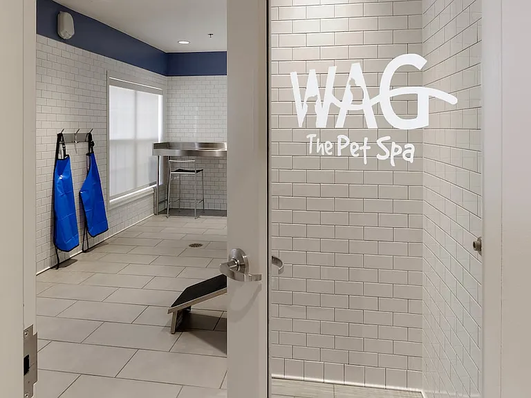 WAG pet spa with bathing area and grooming equipment