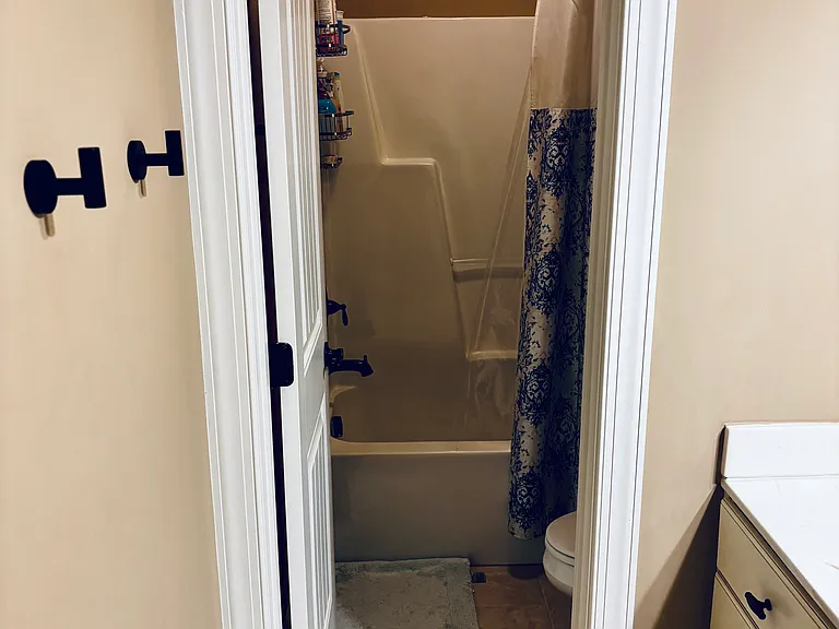 Guest bathroom