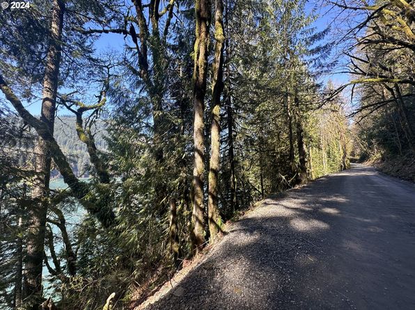 20019 NE Buncombe Hollow Rd, Woodland, WA 98674