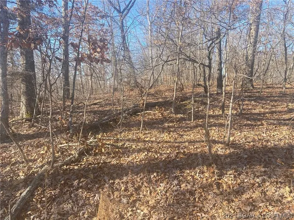 Acorn, Rocky Mount, MO 65072