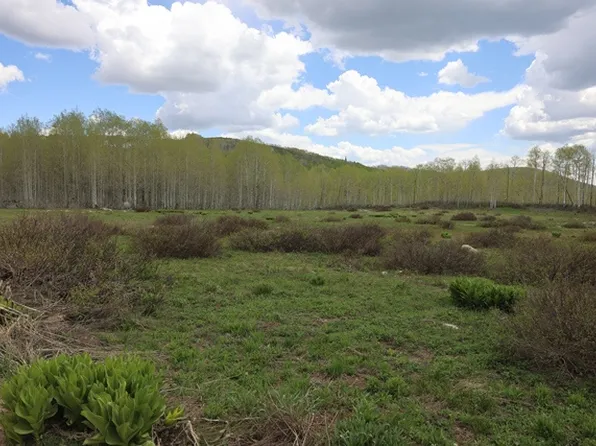 5274 Larkspur Rd, Midway, UT 84049