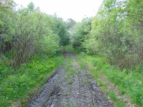 00 U.S. Route 2 #2, St. Johnsbury, VT 05838