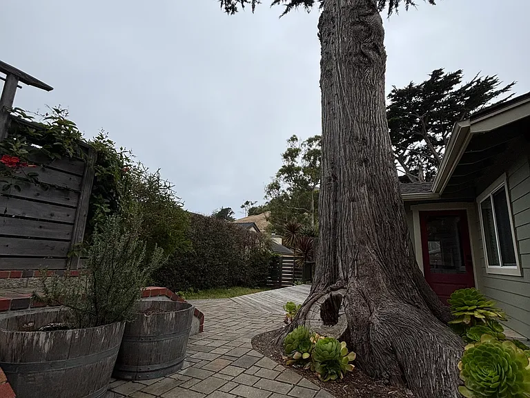 529 Hacienda Dr — Photo 5
