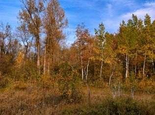 983 Cornice Ct, Driggs, ID 83422