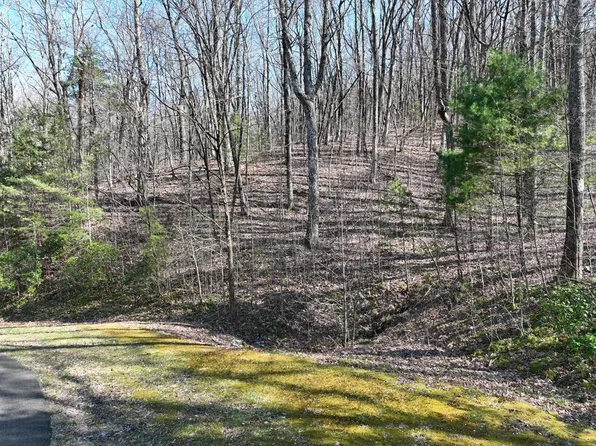 66 Saint Andrews Way, Ellijay, GA 30536