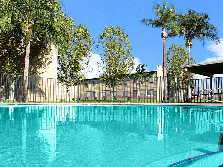 Sparkling pool.