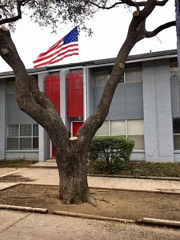 Bel Air Oaks — Photo 34