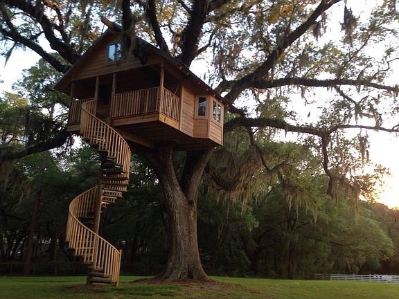 Our epic treehouse
