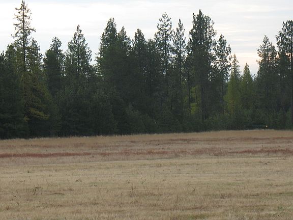Nice view out kitchen window.